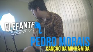 ELEFANTE SESSIONS | Pedro Morais - Canção da minha vida