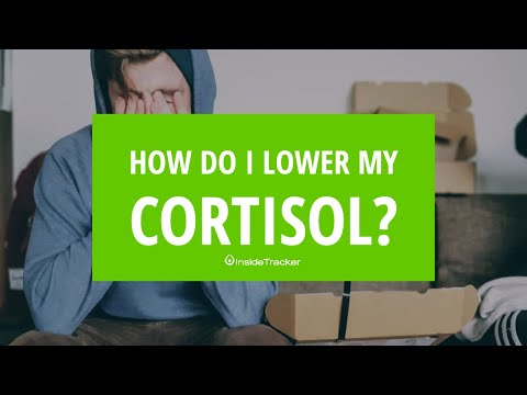 How Do I Lower My Cortisol Levels? Biohacking with a Registered Dietitian