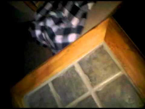 Cat and Mouse - Stuart Little Gets Away