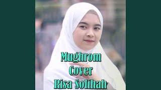 Download lagu Mughrom mp3 Download lagu Mughrom mp3