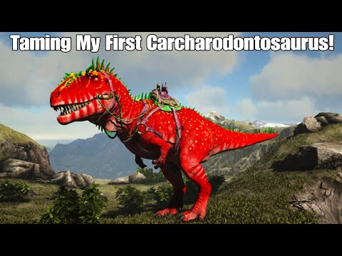 I Tamed My First Carcharodontosaurus!|ARK Survival Evolved