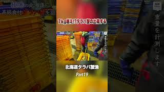 2匹で13kg越えのタラバ蟹 #shorts #漁師 #北海道 #crab