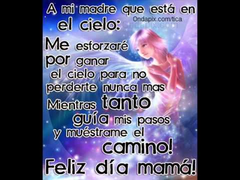 SE ME FUÉ MI VIEJA. WILSON PALMA.wmv