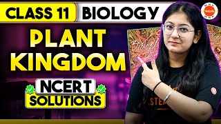 Plant Kingdom Class 11 NCERT Solutions in One Shot | CBSE Class 11 Biology Chapter 3