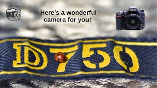 Video thumbnail for Nikon D750 -  how much better than Nikon D610? by TomPhoto