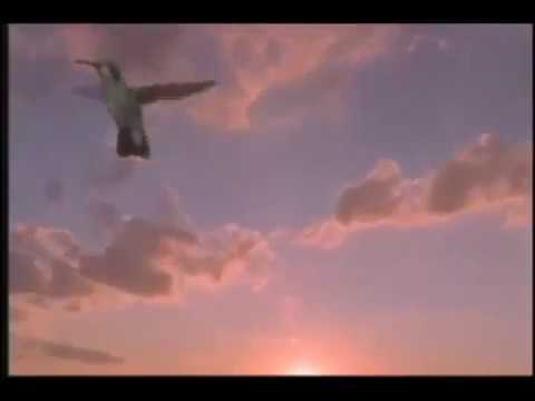 Recebas com Alegria :: Prem Baba Caminho do Coração - Way of the Hearth