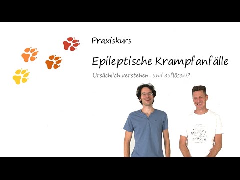 Praxiskurs "Epileptische Krampfanfälle ursächlich verstehen... und auflösen?" - Herzlich Willkommen