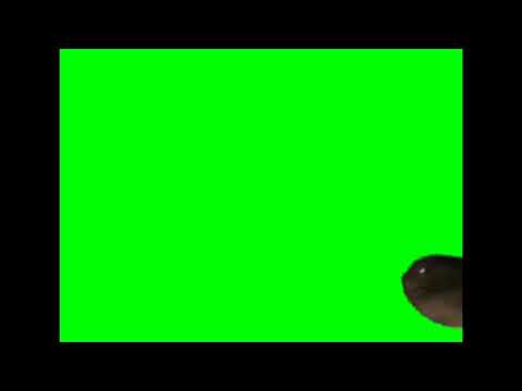 Highway worm Jumpscare Trevor Henderson green screen free to use