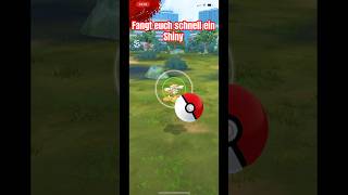Pokémon GO: Community Day mit Flabébé! #pokemongo #pokemon #shorts