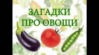 Загадки для детей про овощи с ответами. Про овощи для детей. Загадки