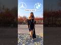 Bmw Bmw Autoexpo2025 Cars Music Audio Edm 2025 Automobile Luxurycarsandtheirprices Money