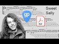 Ted Nugent - Sweet Sally Guitar Tabs [TABS]