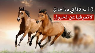 10 حقائق مذهلة لا تعرفها عن الخيول 10 حقائق مذهلة لا تعرفها عن الخيول