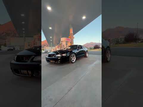 03 cobra with Kansei Knp wheels