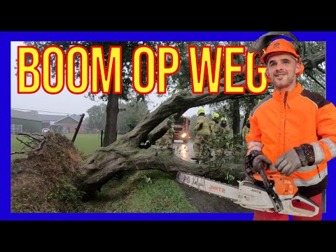 Boom op weg  - VOLUNTEERS DUTCH FIREFIGHTERS -