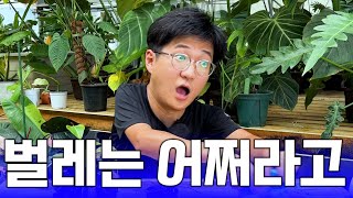 식물 키우면서 이걸 안하고 휴가를 가...?