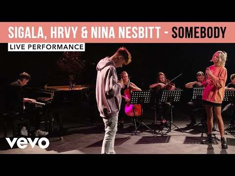 Miniatura de Somebody New