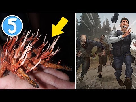 APOCALISSE ZOMBIE? QUESTO FUNGO POTREBBE CAUSARLA!