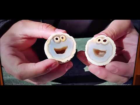 Manik - Geteilte Einsamkeit 2021 Progressive House Mix