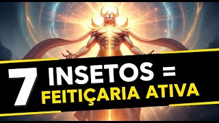 7 INSETOS que aparecem na sua casa quando há FEITIÇARIA contra sua vida (Veja fotos)