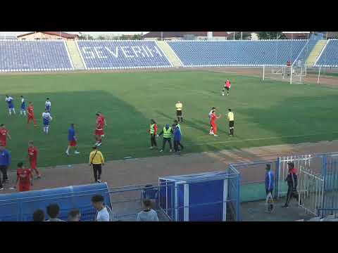 VIITORUL SIMIAN & CSO FILIASI