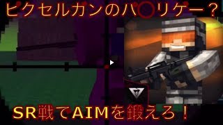 【Pixel Strike 3D 】ピクセルガンのパ〇リゲー？SR戦でAIMを鍛えろ！