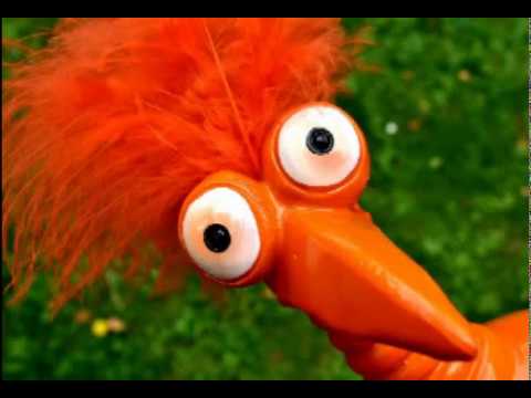 Czy ktoś widział Dziub Dziuba?