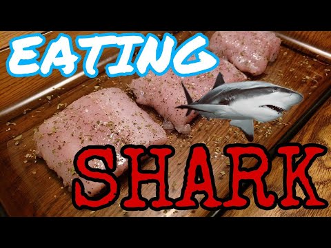 Cooking and Eating Shark