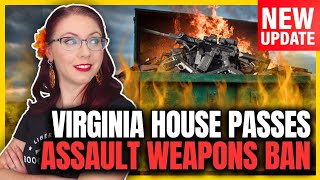 Virginia House Passes Assault Weapons Ban