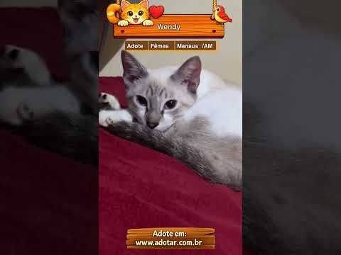 Vídeo de Wendy
