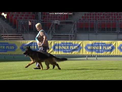 1110 Carl Gelezinis vilkas - TSB BSZS-2023