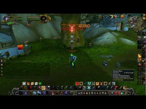 DZ Hunters: Beast Mastery Dps Rotation