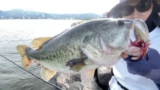 【バス釣り】2025年に釣れたけど忘れてたロクマル（悲）のヒットシーン。in琵琶湖おかっぱり