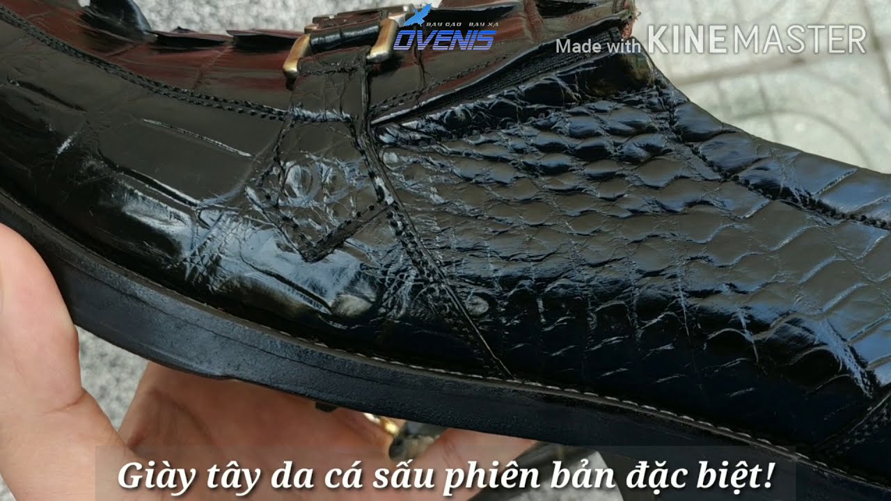 Giày Tây Da Đuôi Cá Sấu. Phiên Bản Đặc Biệt Rất Đẹp! GT9D