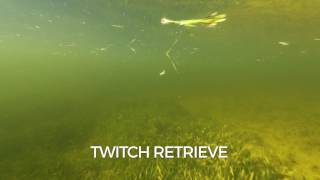 Rapala X-Rap Twitchin Minnow 10 MM