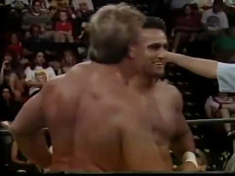 Pretty Wonderful (Paul Orndorff Paul Roma) vs. Stars and Stripes - 8/10/1994 - WCW