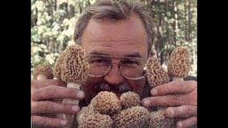 Motherlode: Beautiful Morel Mushrooms...and lots of'em! (2001)