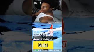 Download lagu Bermain snowboard di salju itu seru.. #pubgshorts #pubg #pubgmnextstarprogram mp3