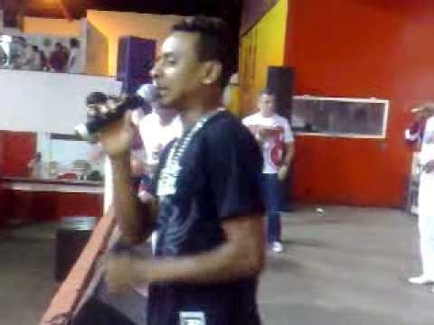 Samba 5 - Viradouro 2010