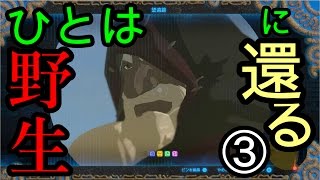ゼルダの伝説 ブレス オブ ザ ワイルドなのでワイルド（上裸）に実況プレイ③