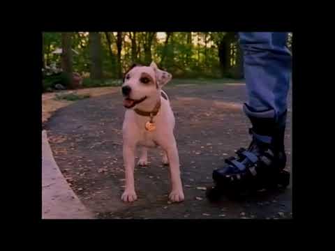 Wishbone | Twisted Tail