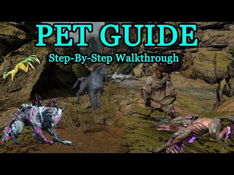 Ultimate Warframe Companion Guide: How to Get All Living Companions
