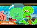 SpongeBob | De Krokante Krab en Groene Schimmel! | Nickelodeon Nederlands