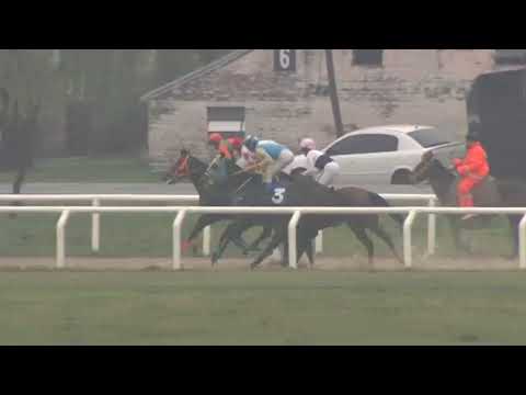 CARRERAS SINT PAYSANDU- 220901 c05- 1° PAPILLOTAGE