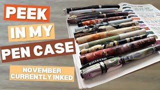 Peek in my Pen Case! NEW Visconti, SCRIBO, Sailor Pro Gear, Leonardo & MORE! Currently Inked!