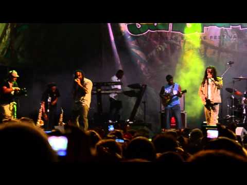Marcia Griffiths ft. Kymani Marley & Andrew Tosh @ Rototom 2012, Benicàssim