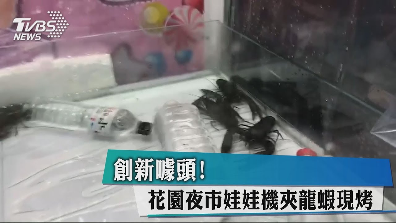創新噱頭! 花園夜市娃娃機夾龍蝦現烤