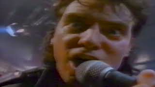 Dogs Are Talking - The Angels