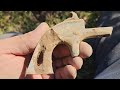 Upstate NY Metal Detecting 1800s Home Finds Silver Coins Relics And Antique Pistol