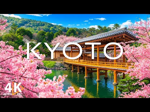 Spring Kyoto Japan 4K 🇯🇵 Stroll Through Sakura Blossoms, Petal-Filled Paths, and Blooming Gardens